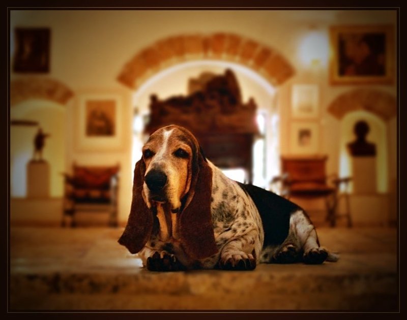 знакомый мой Клодphoto preview