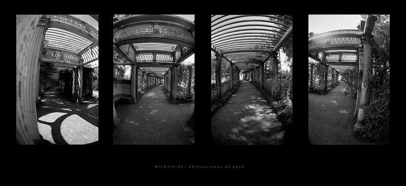 Abstractions of parkphoto preview