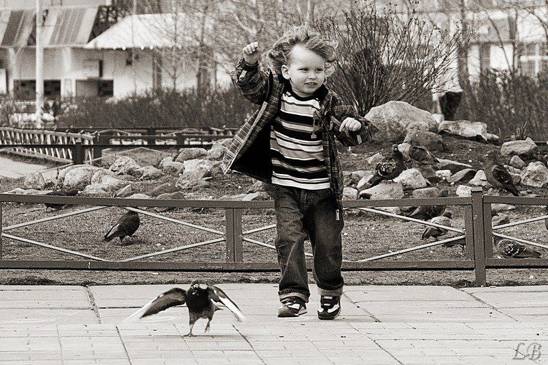 весна, малыш, голубь, бульвар, людмила, багдасарян, (lb) Весна в городеphoto preview
