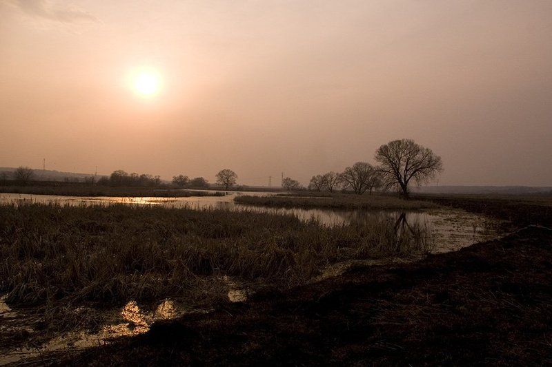 закат, природа, сеньково Закат на планете Земля 2photo preview