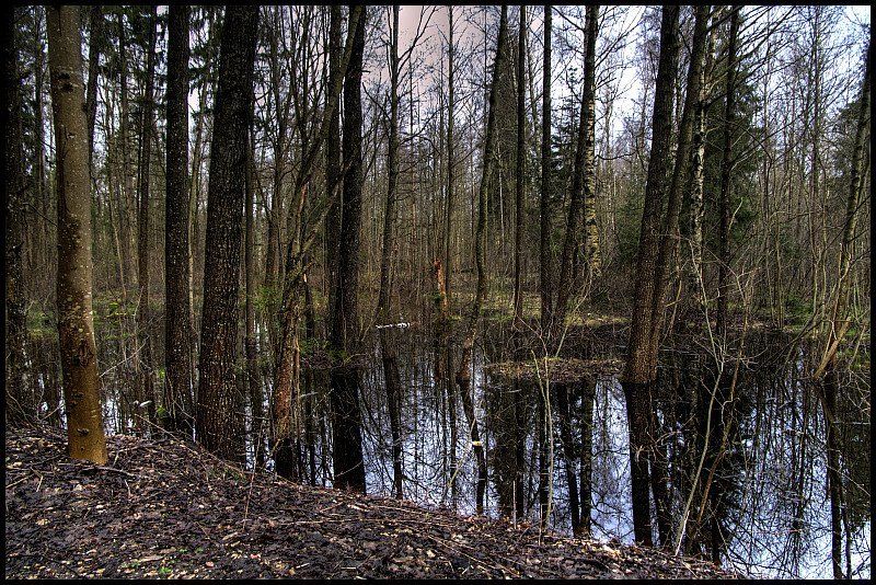 кемери Нам не дожить до Весны (1)photo preview