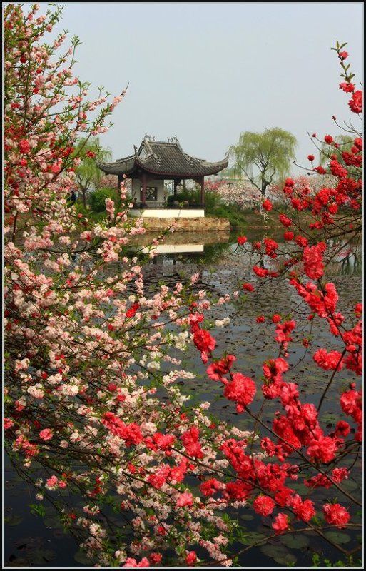 Весна в китайском паркеphoto preview