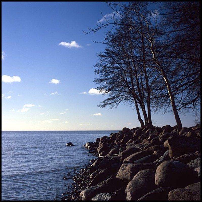 Ноябрь. Залив.photo preview