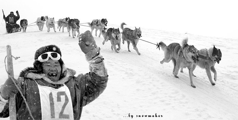 12 (репост)photo preview