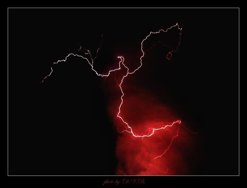 фаза фениксаphoto preview