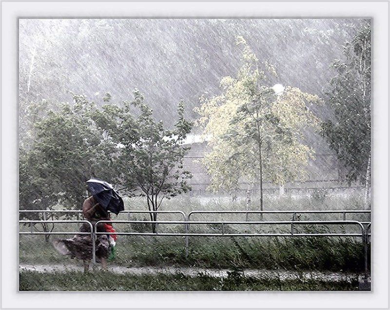 непогодный ветерокphoto preview