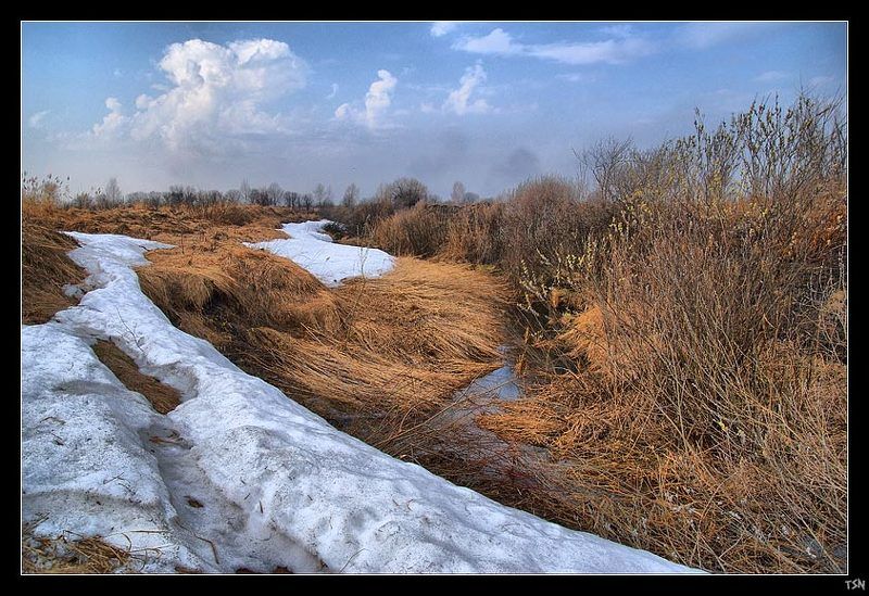 Весенние оврагиphoto preview