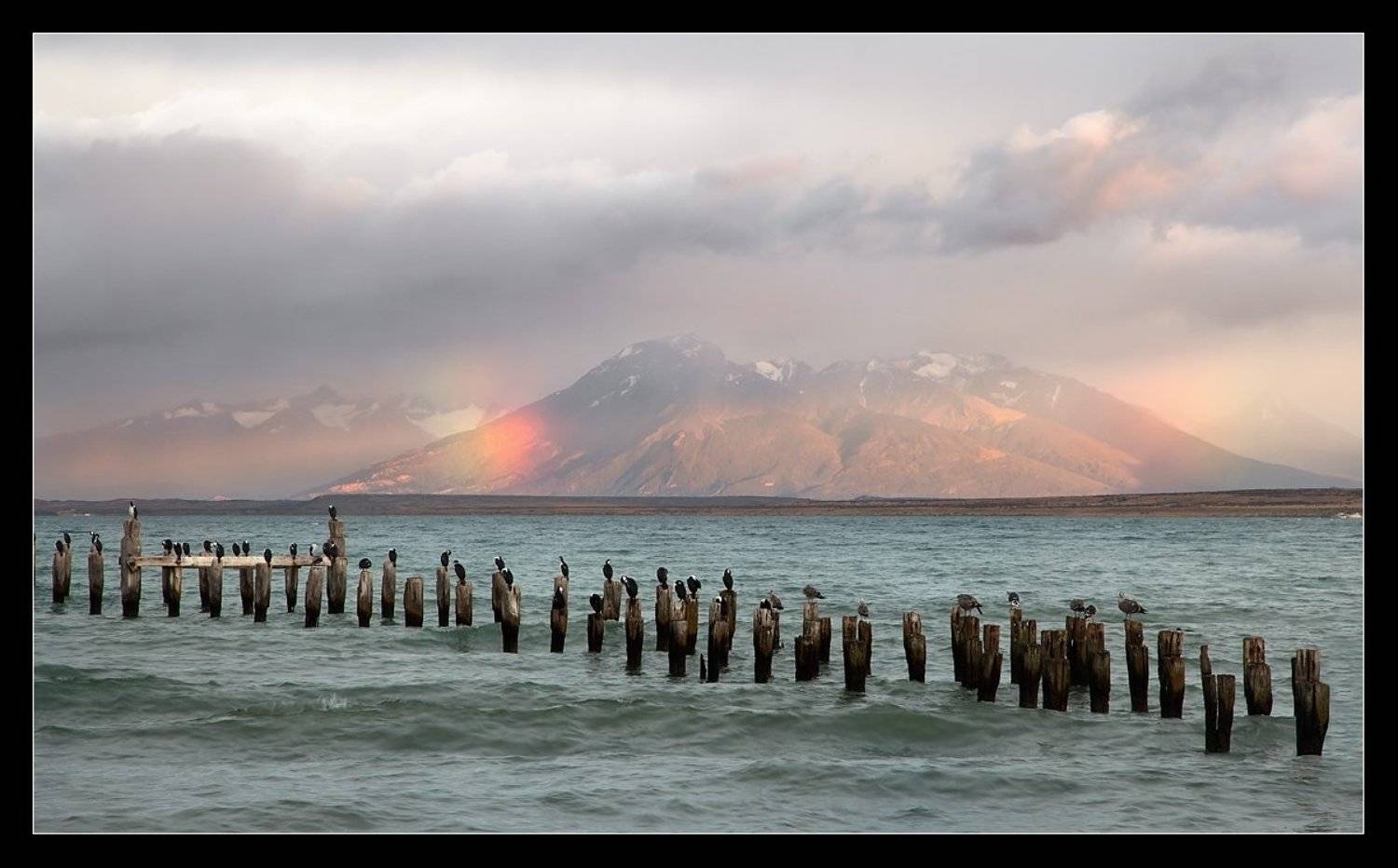 чили, пуэрто наталес,птицы, радуга,патагония, Виктория Роготнева
