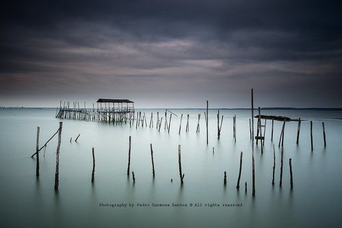 Carrasqueira