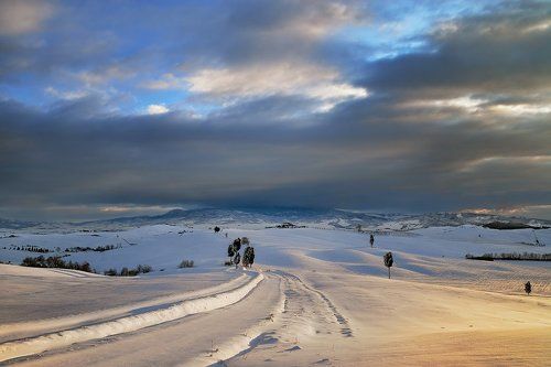 My winter