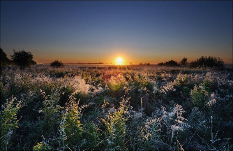 утро, рассвет В ЛУЧАХ РАССВЕТАphoto preview