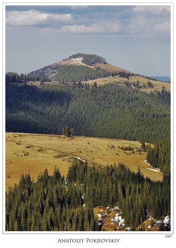 Карпатские смотрины