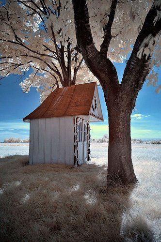 Ir Photo