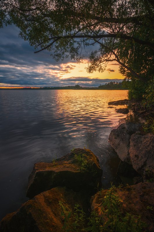 Золотой светphoto preview