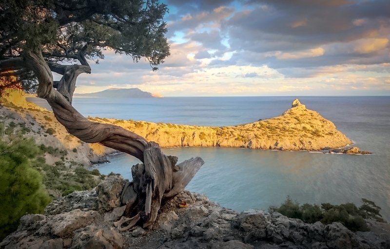 Классика телефономphoto preview