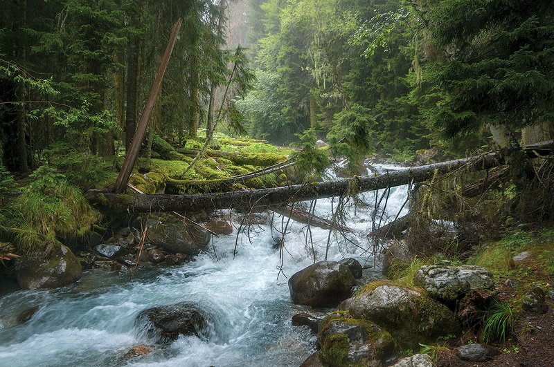 Бадукphoto preview