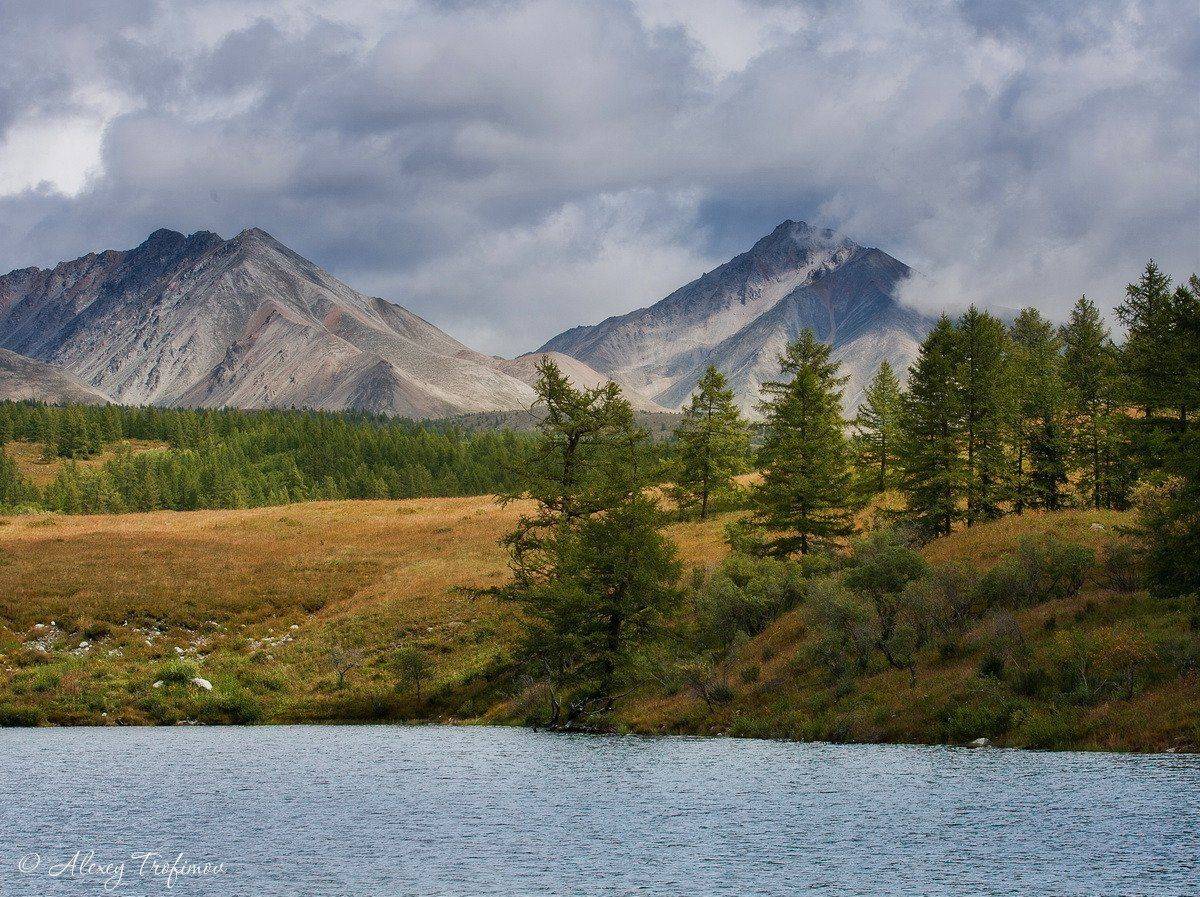 Монголия. Предгорья Монх-Сарьдага. Автор: Алексей Трофимов монголия, Алексей Трофимов