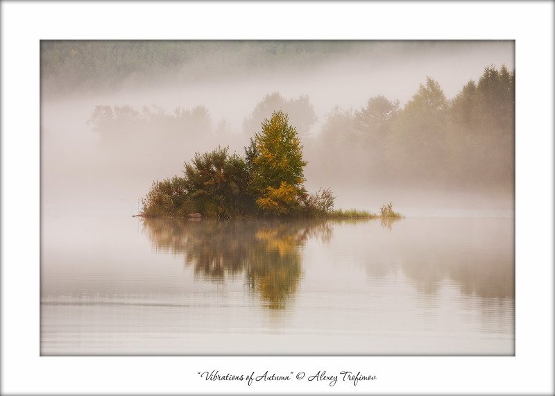 Вибрации осениphoto preview