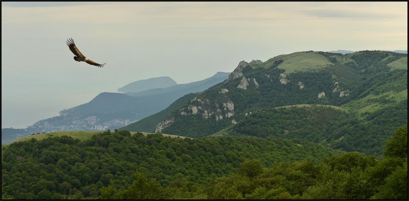 Крым в начале летаphoto preview