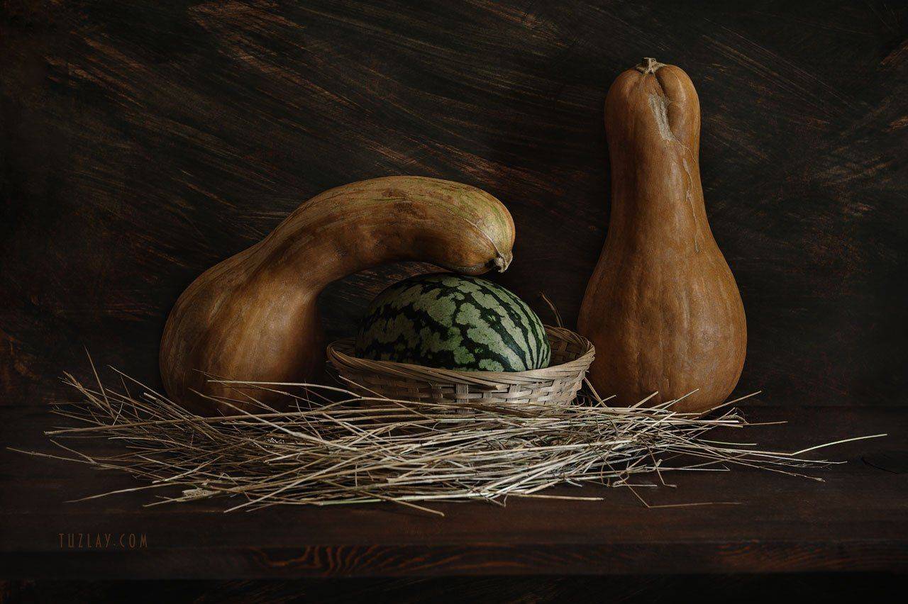 тыквы, сено, арбуз, гелиос 44, Владимир Тузлай