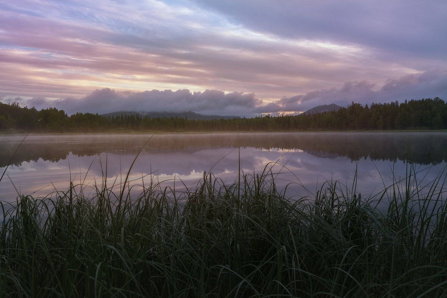 *******. Автор: Андрей Шарапов , Андрей Шарапов