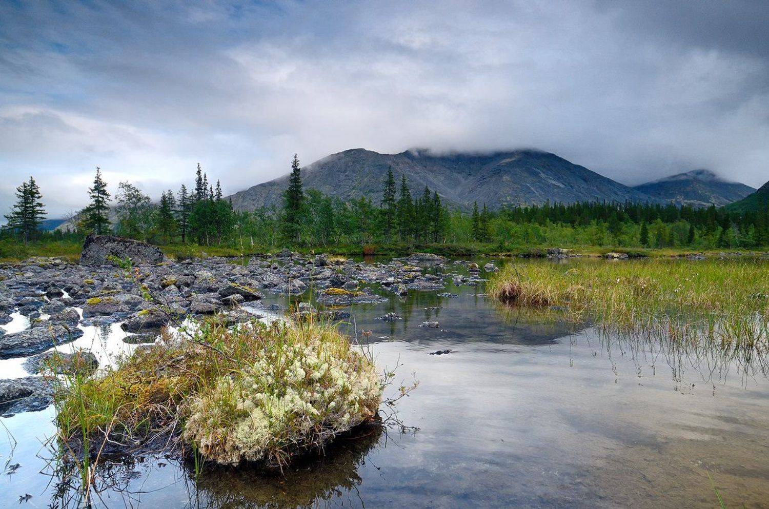 , Дима Лялин