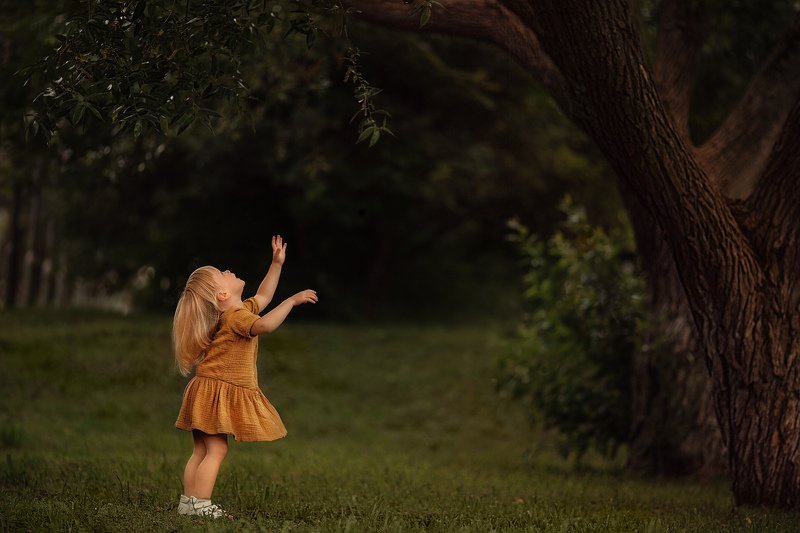 Когда деревья были большимиphoto preview