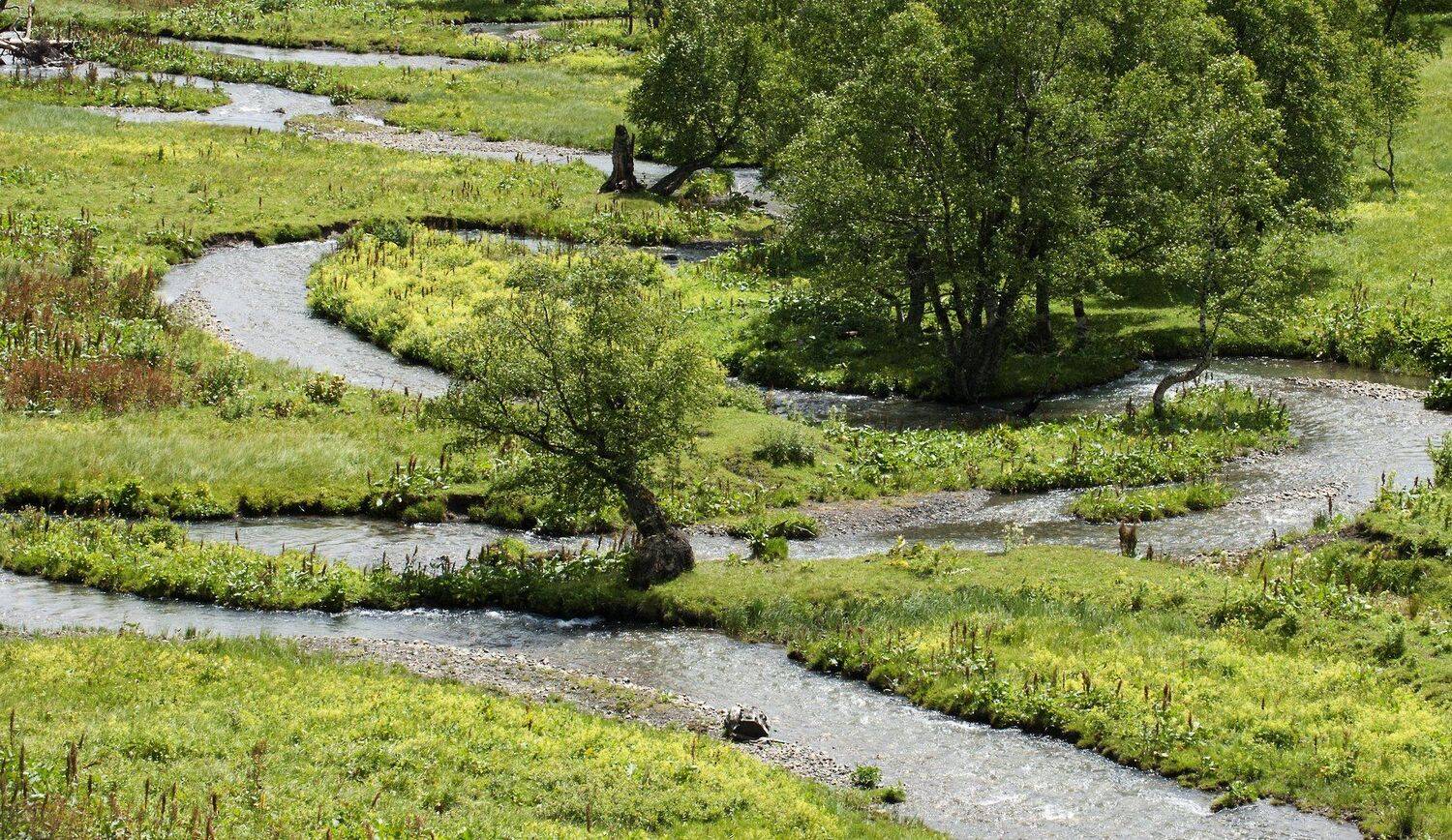 Извилина. Автор: Михаил Пшеннов природа, Михаил Пшеннов