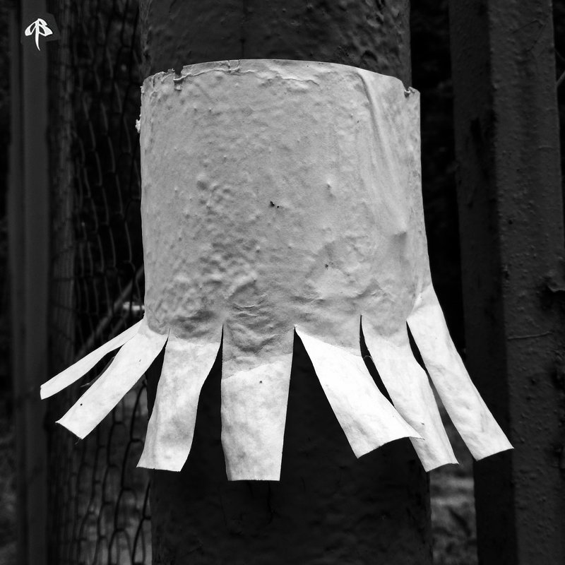 Объявление / Adphoto preview