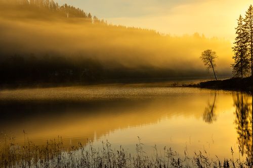 Those autumnal mornings
