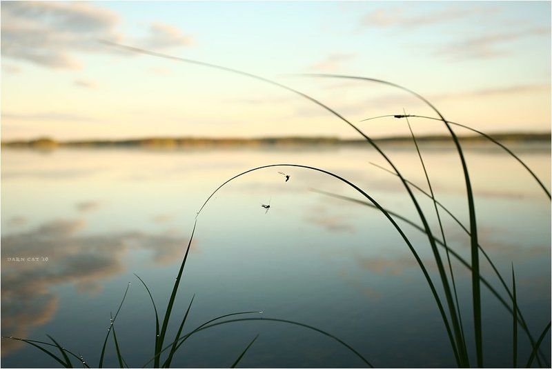 утро, мошки, двое, рассвет Утро для двоихphoto preview