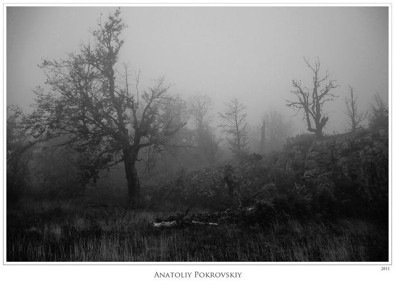 крым, горы, демерджи, туман, осень, деревья, анатолий покровский Беззвучные краски близкой зимы скрывают осеннюю наготу природы. Зыбкие тени в тумане.photo preview