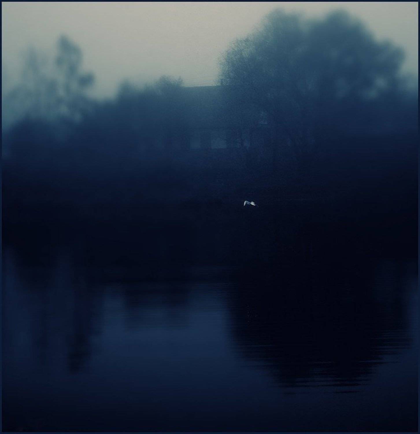 чайка, утро, пустота, тишина, Миронов Сергей