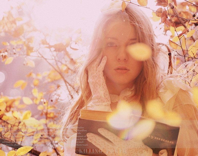 ©killingpower a walk to rememberphoto preview