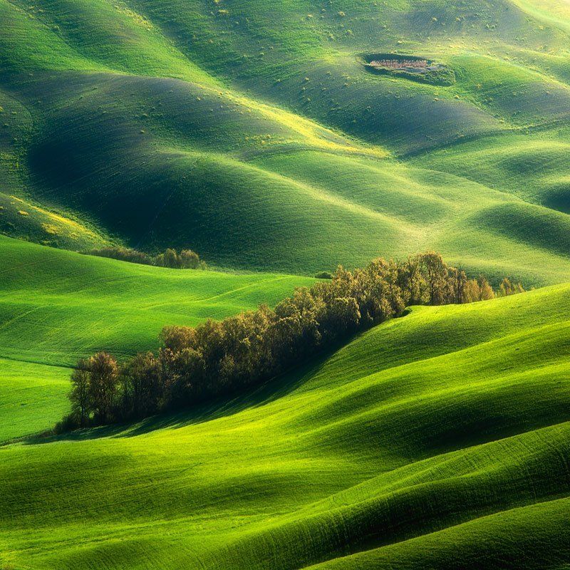 Green Lava