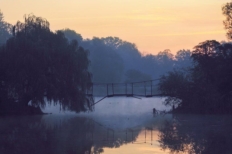 bridge, Bridge to Skorbitania, Canon EF 135 mm f/2.0L USM, Canon EOS 5D Mark II, Family garden, Kaliningrad, lake, Vint26, William Fitzsimmons, Zaporozhenko vitaly & julia Bridge to Skorbitaniaphoto preview