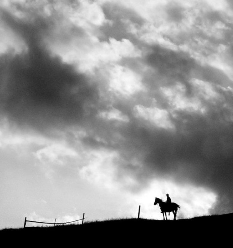 карпаты, всадник, лошадь * * *photo preview