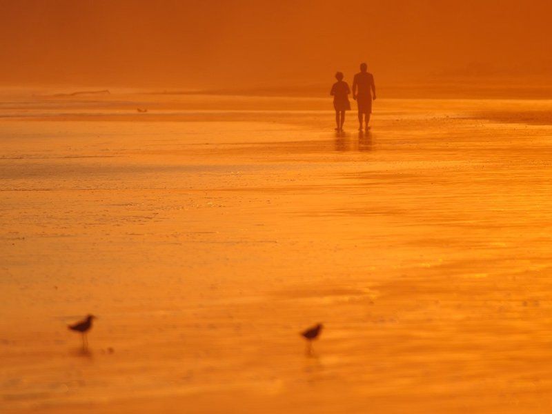 коста-рика Оранжевый мирphoto preview