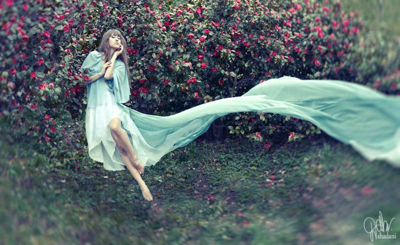 Fly Highphoto preview