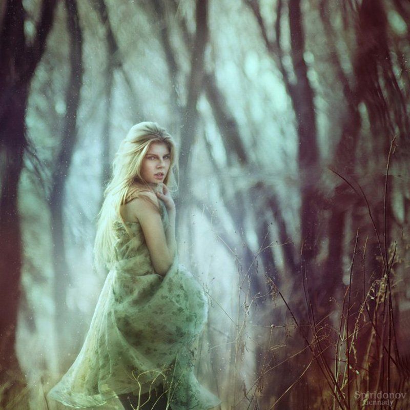 Сhroniclephoto preview