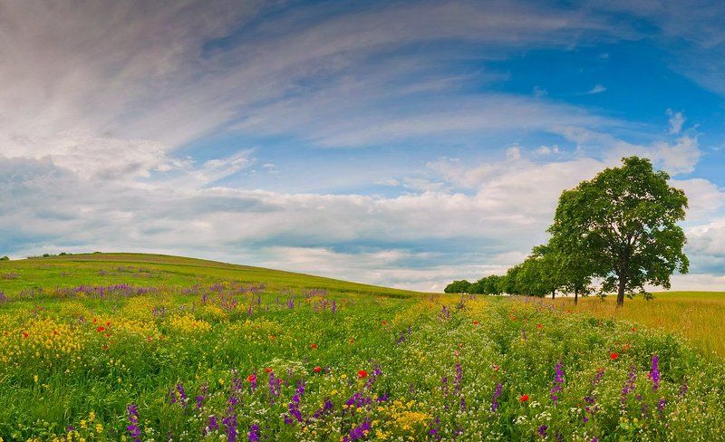 Spring moodphoto preview