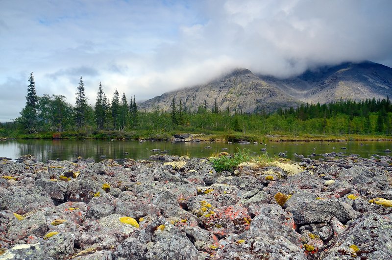 Хибинские тундры 2019-6photo preview