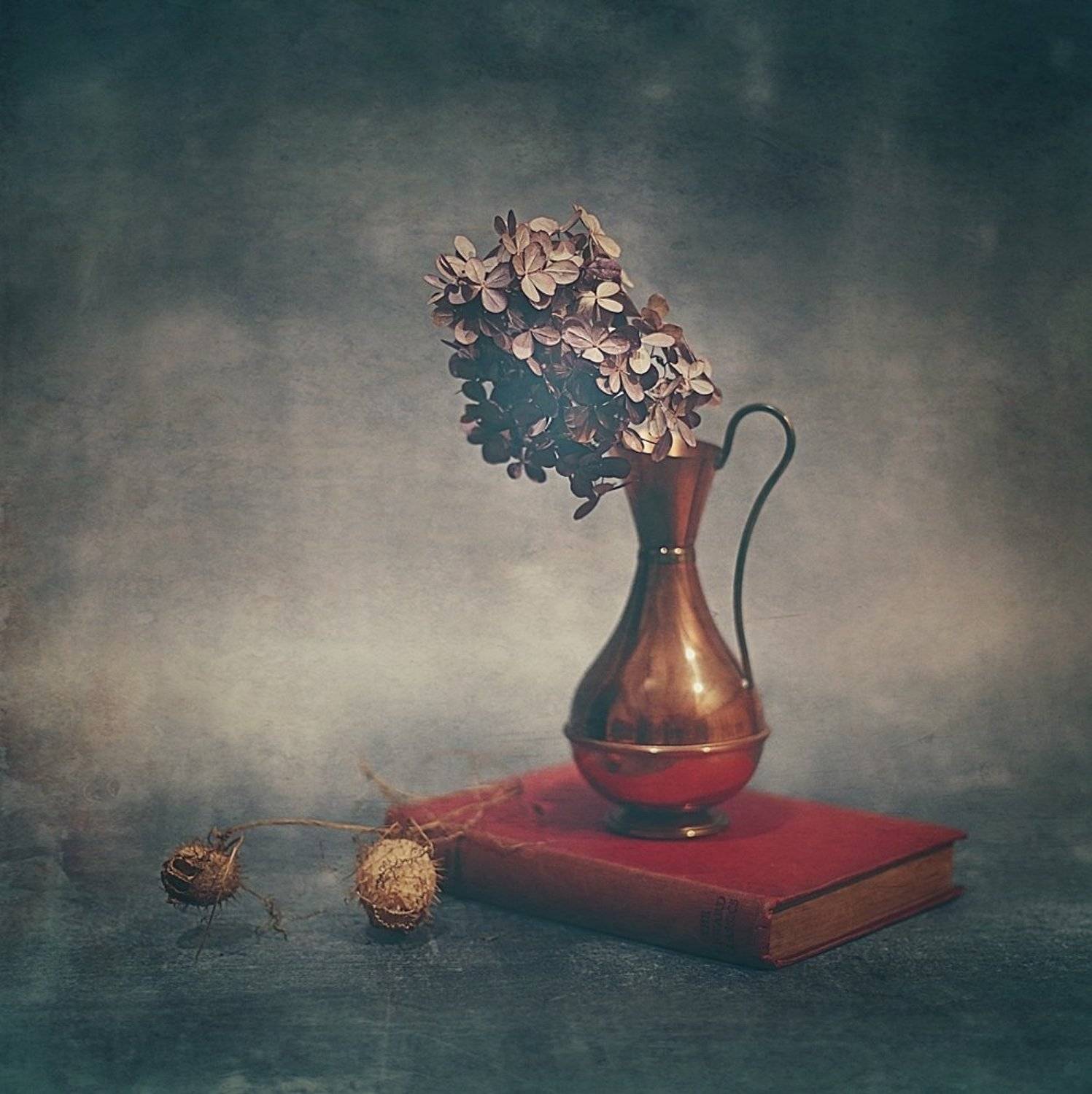 ... z hortensją. Автор: Ela Drzazga , Ela Drzazga