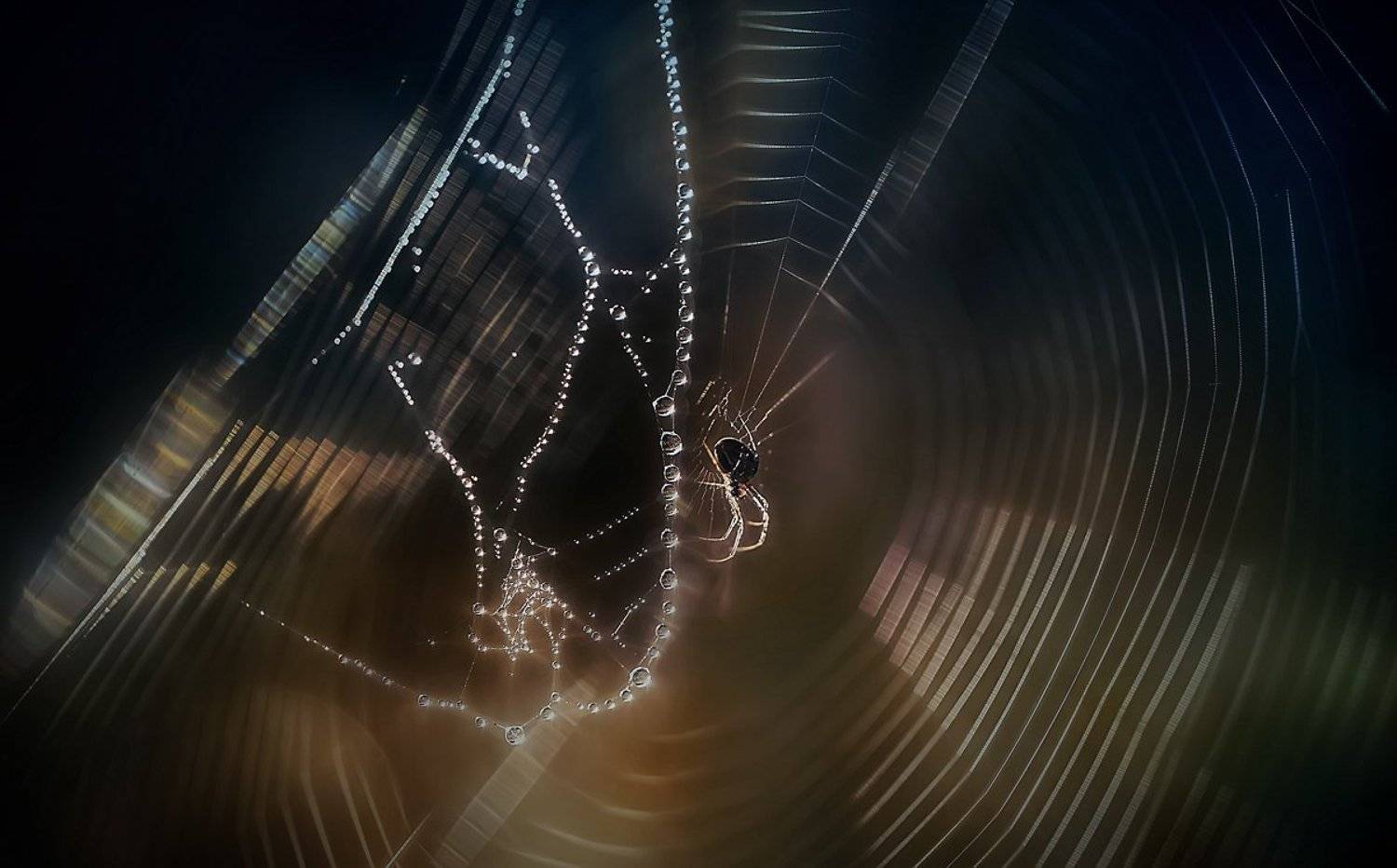 , Галина  Юняева