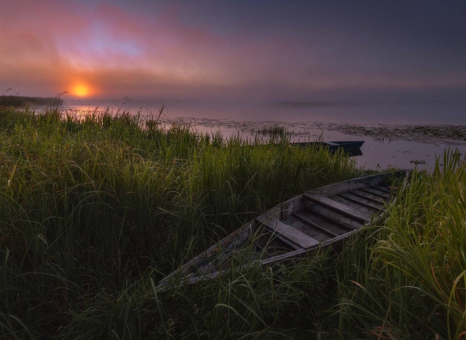 Рыбацкие грёзы. Автор: Зинченко Роман полесье, черниговщина, десна, Зинченко Роман