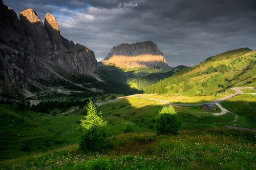 Morning light