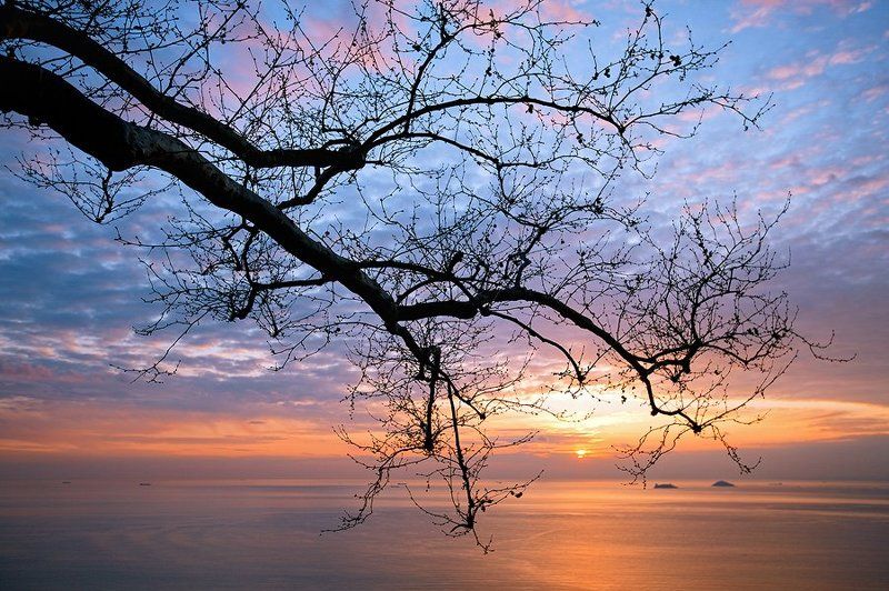 Princess Islandsphoto preview