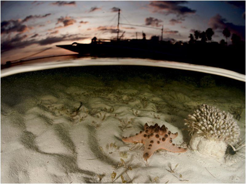 Панглаоphoto preview