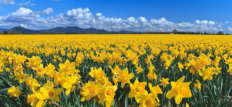 Целое море цветовphoto preview