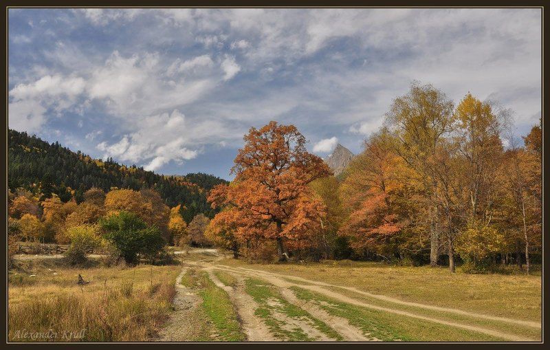 осень, охра Когда осень пишет охрой...photo preview